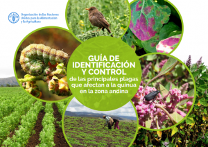 Guia-de-identificación-de-plagas-y-enfermedades-de-la-quinua-pdf