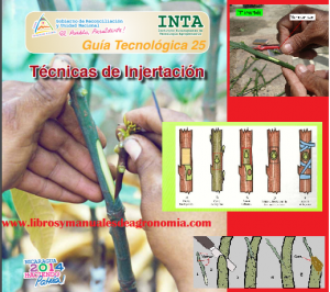 ® Manual de técnicas de INJERTOS. pdf gratis