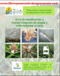 Guía de identificación y manejo integrado de plagas y enfermedades en piña