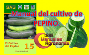 Manual del cultivo de PEPINO. pdf gratis