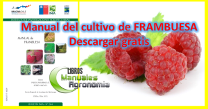 Manual del cultivo de FRAMBUESA. pdf gratis
