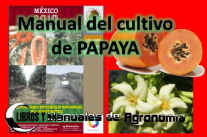 Manual del cultivo de PAPAYA. descargar libro gratis en español