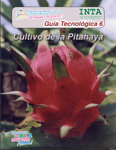 Manual del cultivo de Pitahaya.pdf gratis