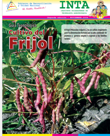 Manual del Cultivo de Frijol- pdf gratis | Libros de Agronomia Gratis