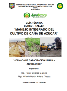 MANUAL DE MANEJO INTEGRADO DE LA CAÑA DE AZÚCAR. AGRONOMIA