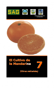 ▷Manual del Cultivo de Mandarina ✓Libros de Agronomia gratis pdf