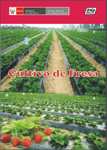 Manual del Cultivo de Fresa. Gratis