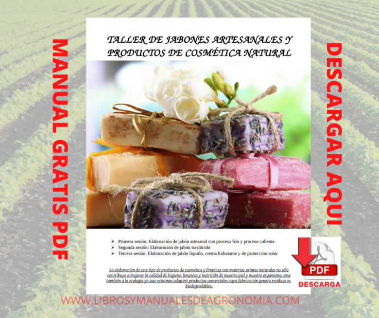 Socialista parque Alcanzar Manual de elaboración de jabones artesanales. pdf Gratis - Libros y  Manuales de Agronomia