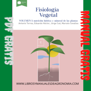 Fisiología Vegetal Volumen I: Nutrición hídrica y mineral de las plantas