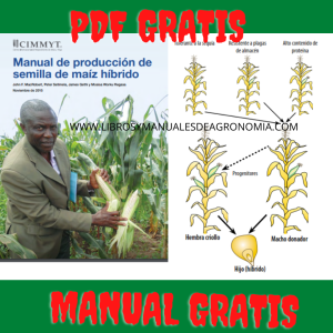 Manual de producción de semilla de maíz híbrido pdf gratuis