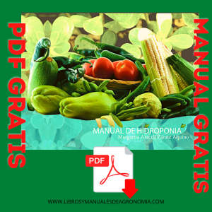 Manual de HIDROPONIA. Gratis PDF