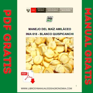 Manual de cultivo maíz amiláceo