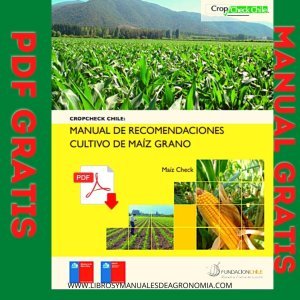 Manual del cultivo de maíz grano. PDF GRATIS