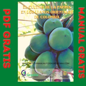 Manual del cultivo en papaya en Colombia. PDF