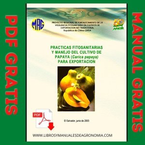 Practicas Fitosanitarias en Cultivo de papaya.