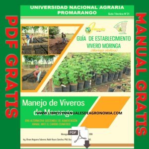 Manual del Cultivo de Moringa. PDF Gratis